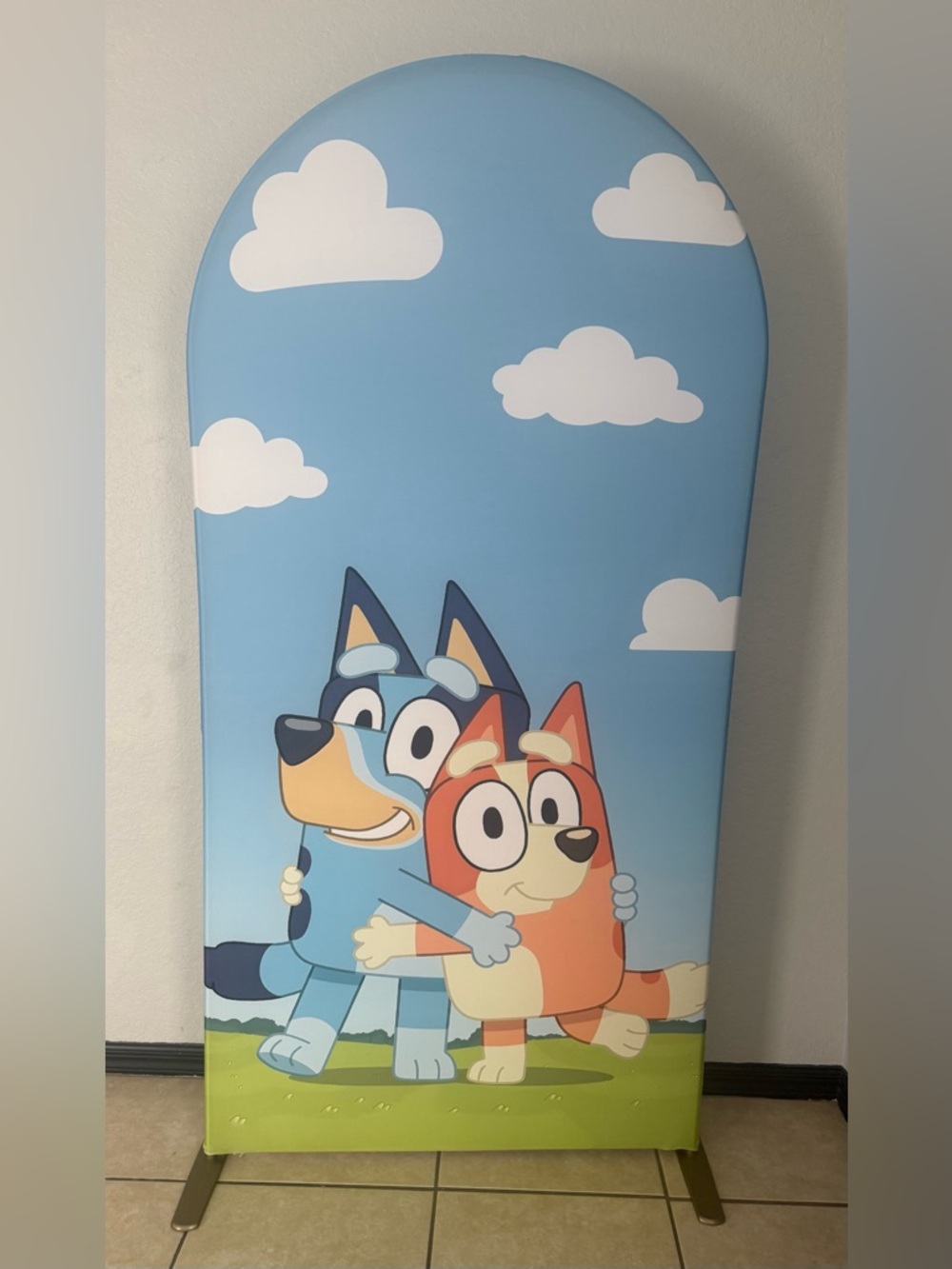 Bluey Arch Backdrop Cover
